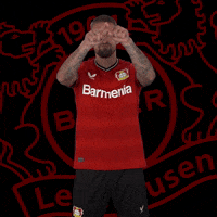 Soccer Stop GIF by Bayer 04 Leverkusen