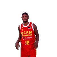 Liga Endesa Basketball Sticker by ACB