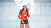 Daytonvolleyball GIF by Dayton Flyers