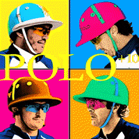 POLOPLUS10 polo poloplus10 GIF