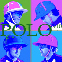 POLOPLUS10 poloplus10 GIF