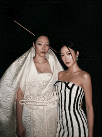 Fayefin GIF
