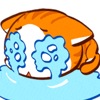 Cats Kitty GIF by Time Princess