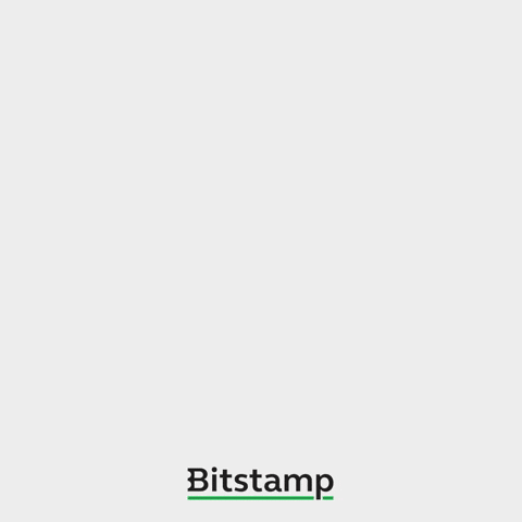Bitcoin Bitcoinpizzaday GIF by Bitstamp