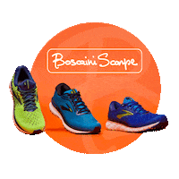 boscaini_scarpe moda shoes sneakers abbigliamento Sticker