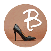 Shoes Moda Sticker by Boscaini Scarpe