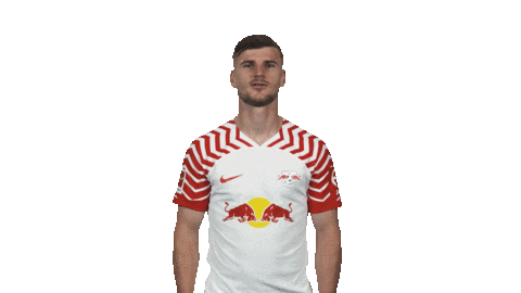 Rb Leipzig Thumbs Up Sticker by Bundesliga