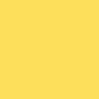 dentedental-studio dente dental studio GIF