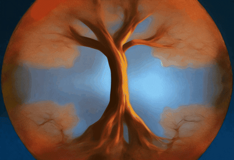 jeffthomann giphyupload animated ai colorful GIF