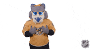 Ice Hockey GIF by NHL