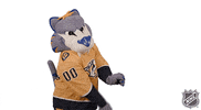 Ice Hockey GIF by NHL