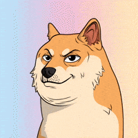 Shiba Inu Dog GIF by Doge Pound