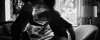 couple GIF