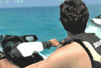 alessandromarras- bermuda alessandro viaggi coollife GIF
