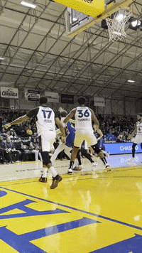 Assist Too Easy GIF by Santa Cruz Warriors