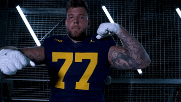 Go Blue GIF by Michigan Athletics
