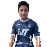 Football Sport Sticker