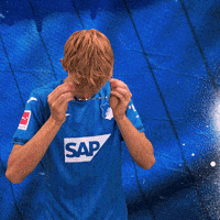 Sport Bundesliga GIF by TSG Hoffenheim