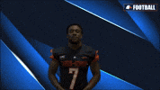 Cnfb GIF by Carson-Newman Athletics