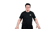 Wait What Cosa Sticker by QLASH