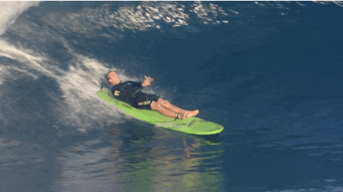 surf surfing GIF by Red Bull