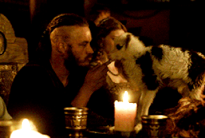 GIF by Random Goat
