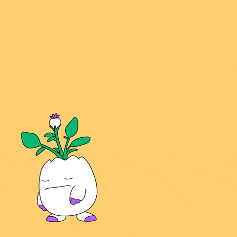 Paying Black Friday GIF by Magic Eden