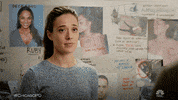 Chicago Pd What GIF by One Chicago