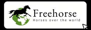 Pony Cheval GIF by Freehorse