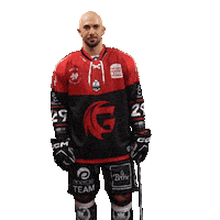 Amiens Sticker by Les Gothiques