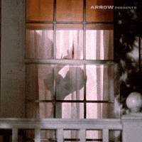 Kristy Swanson Horror GIF by Arrow Video