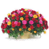 roses STICKER