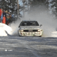 Rallying On The Way GIF by FIA World Rally Championship