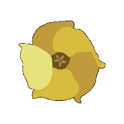 Song Contest Ks Sticker by Kamehameha Schools