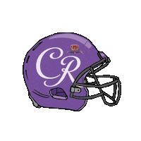 crownroyal sports football game nfl Sticker