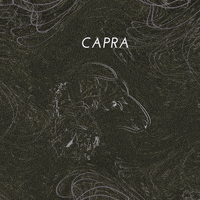 capra GIF by A.M.T.G. G.G.
