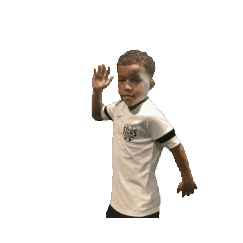 Sticker by Stars of  Soccer
