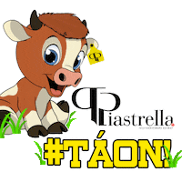 Agro Agronegocio Sticker by Piastrella Rastreabilidade