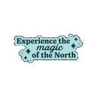 Northern Lights Aurora Sticker by Alaska Wild Lights