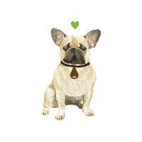 ProtectOne dog frenchie ecopet protectoneearth Sticker