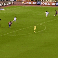 Goalkeeper Save GIF by Parma Calcio 1913
