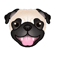 Dog Puppy Sticker by zoopeez