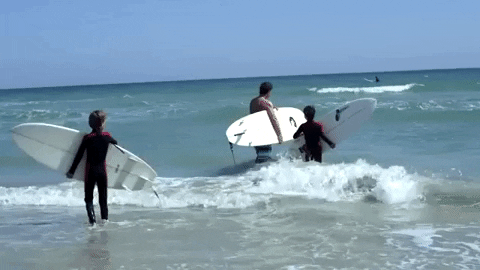 florida GIF