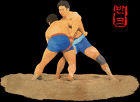 World Heritage Korea GIF by vank