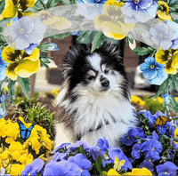 Mothers Day Mom GIF by thepaintedcottagemd