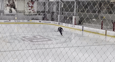 eruewyrigsafigsifgsifjgb giphyupload GIF