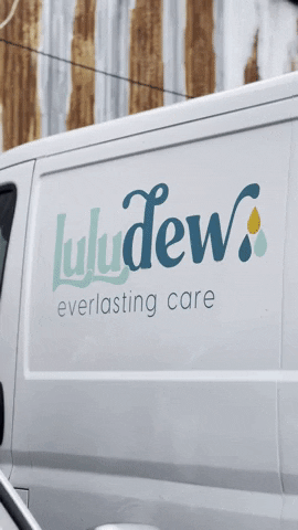 luludew giphyupload GIF