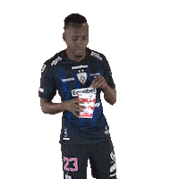 Susto Beder Sticker by INDEPENDIENTE DEL VALLE