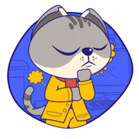 Cat Think GIF by KOL.ID