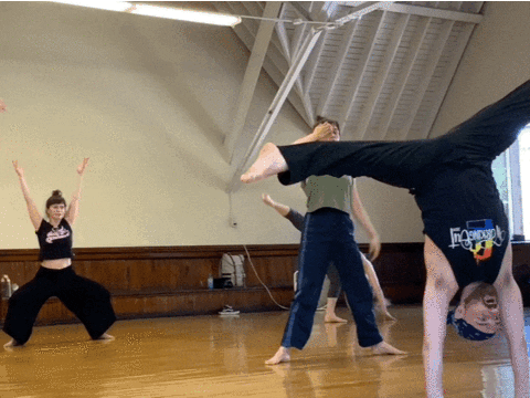 theseldoms giphyupload GIF